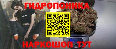 PSILOCYBIN Коммунар