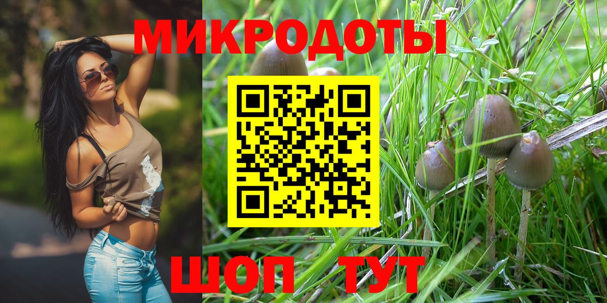 Галлюциногенные грибы Psilocybine cubensis Кимры