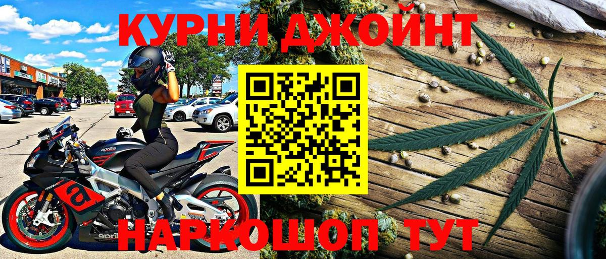 Каннабис планчик Кимры